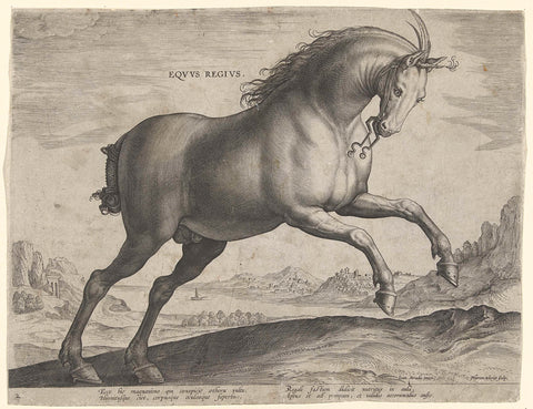 Horse of the breed Equus Regius (the Royal), Hieronymus Wierix, c. 1583 - c. 1587 Canvas Print