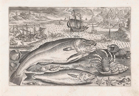 Two fish on the beach, Adriaen Collaert, after 1598 - 1618 Canvas Print