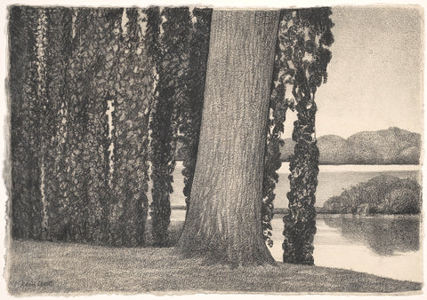 Overgrown trees in Dordtwijk, Rein Dool, c. 2013 Canvas Print