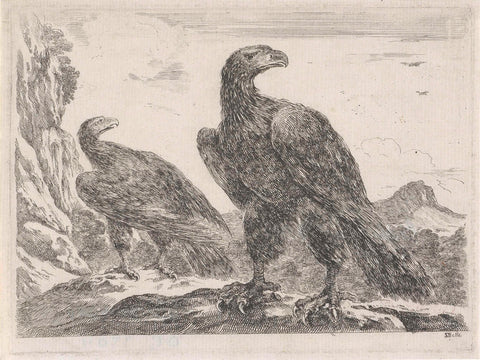 Two eagles with heads to the right, Stefano della Bella, 1620 - 1664 Canvas Print