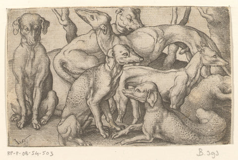 Six dogs, Virgil Solis, 1524 - 1562 Canvas Print