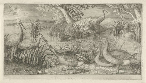 Waterfowl at a pool, Jan van Londerseel, 1580 - 1625 Canvas Print