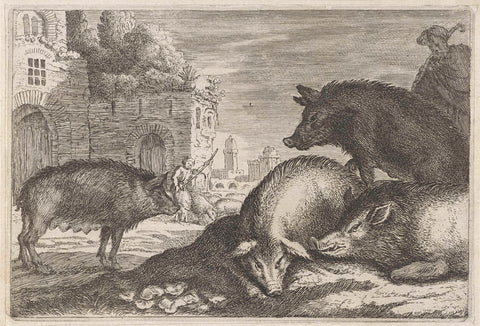 Pigs, anonymous, 1636 - 1705 Canvas Print