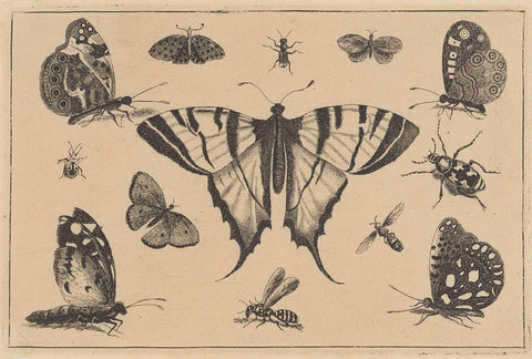 Vlinders, wesp en andere insekten, Wenceslaus Hollar, 1644 - 1652 Canvas Print