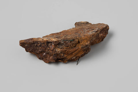 Pin in rusty wood fragment out came wreckage of de Oost-Indiavaarder Hollandia, anonymous, 1700 - in or before 1743 Canvas Print