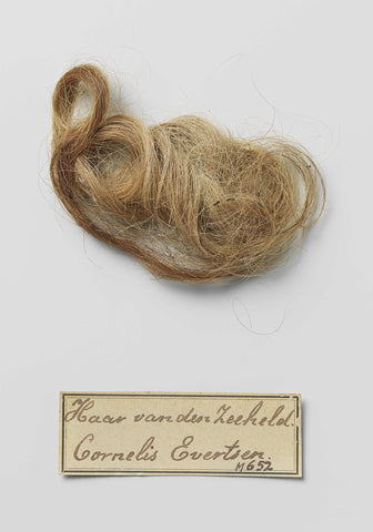 Tuft of hair found in the grave of Cornelis Evertsen, not applicable, 1600 - 1666 Canvas Print