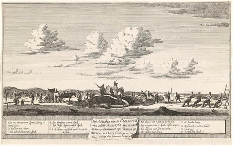 Slaughter of the sperm whale stranded between Zandvoort and Wijk aan Zee, 1762, Johannes Swertner, 1762 Canvas Print