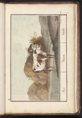 Koe (Forest taurus), J. Verbrugghe, 1790 - 1814 Canvas Print