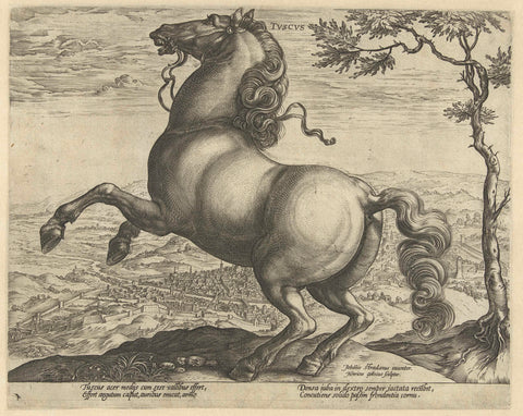 Horse from Tuscany, Hendrick Goltzius, 1577 - 1581 Canvas Print