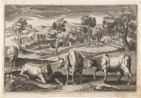 Cattle, Adriaen Collaert, 1595- 1652 Canvas Print