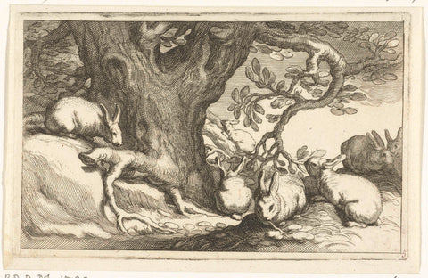 Rabbits, Frederick Bloemaert, after 1635 - 1670 Canvas Print