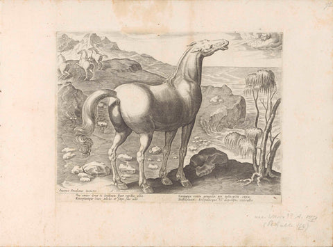 Zephyrus fertilizes a mare, anonymous, 1624 - before 1648 Canvas Print