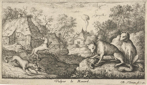 Foxes, Albert Flamen, 1648 - 1691 Canvas Print