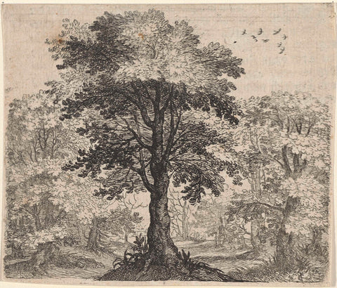 Fable of the olm and the oak, Aegidius Sadeler, 1608 Canvas Print