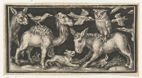 Owl on back of donkey attacked by birds, Nicolaes de Bruyn, 1594 Canvas Print