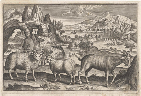 Buck and sheep, Adriaen Collaert, 1595 - 1652 Canvas Print