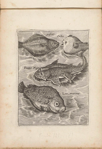 Plaice, hedgehog fish, Brother Hugo and sea lionfish, anonymous, 1635 - 1660 Canvas Print