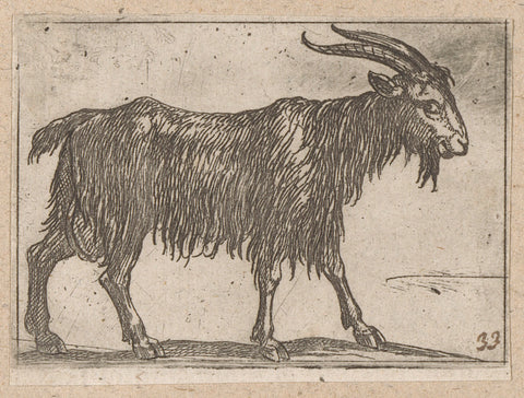 Standing goat, Antonio Tempesta, 1565 - 1630 Canvas Print