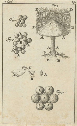 Vijf voorstellingen met betrekking tot paddestoelen, Jan Luyken, 1684 Canvas Print