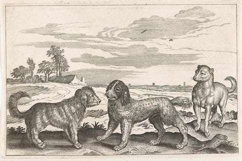 Dogs, Adriaen Collaert, 1628 - 1679 Canvas Print