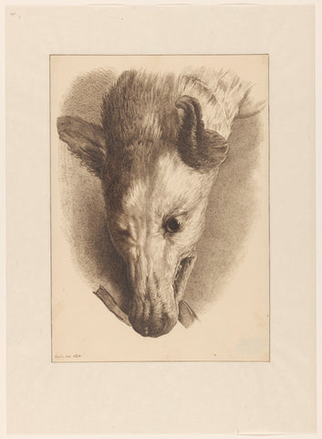 Head of a fox, Joseph Mendes da Costa (1806-1893), 1830 Canvas Print