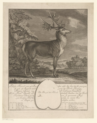 Very large deer, Johann Elias Ridinger, 1740 - 1767 Canvas Print