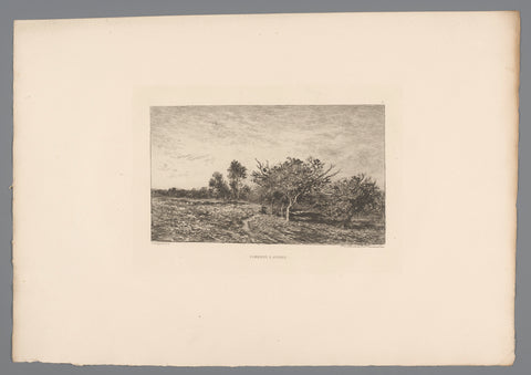 Landscape with apple trees, Charles-François Daubigny, 1878 Canvas Print