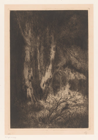 Tree group in a forest, Carel Nicolaas Storm van 's-Gravesande, 1884 - 1887 Canvas Print