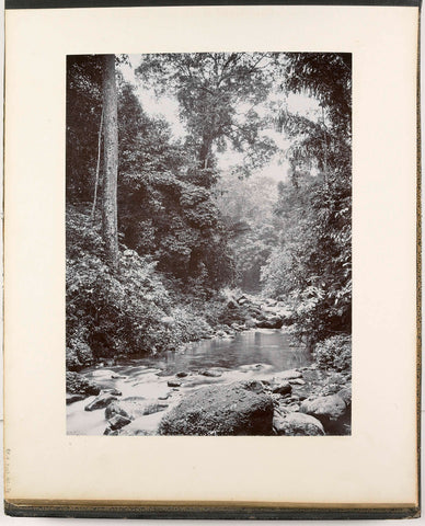 View along the Belawan River, Roemah Kinangkang, Sumatra (Belawan Fluss, Roemah Kinangkang), Carl J. Kleingrothe, c. 1885 - 1900 Canvas Print