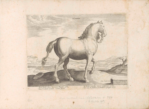 Horse from Flanders, anonymous, 1624 - before 1648 Canvas Print