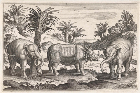 Elephants and rhino, Adriaen Collaert, 1628 - 1679 Canvas Print