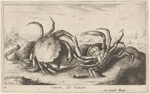 Two crabs on the beach, Albert Flamen, 1664 Canvas Print