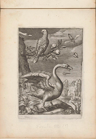 Swan and parrot in landscape, anonymous, 1635 - 1660 Canvas Print