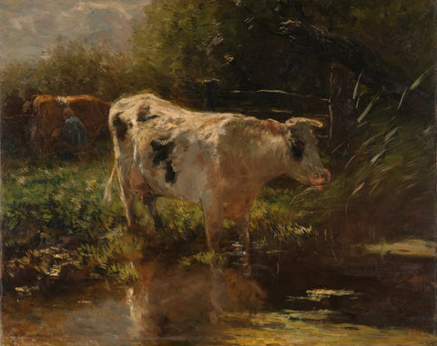 Cow beside a Ditch, Willem Maris, c. 1885 - c. 1895 Canvas Print