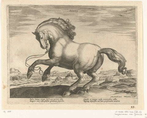 Horse from Denmark (Danus), Hendrick Goltzius (possibly), c. 1578 - c. 1582 Canvas Print