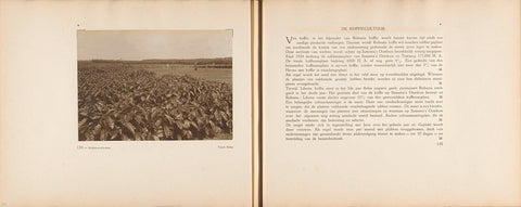 Pages 134 and 135 of photo book of the General Association of Rubber Planters on the East Coast of Sumatra (AVROS), JW Meyster, c. 1924 - c. 1925 Canvas Print