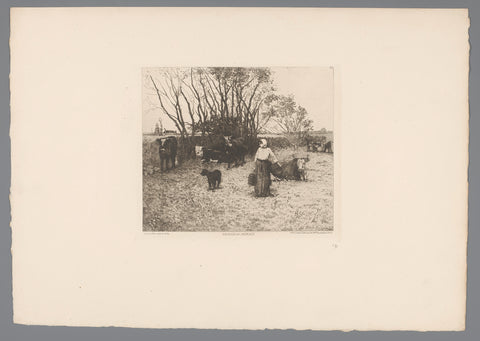 Meadow with cows, Ricardo de los Rios, 1880 Canvas Print