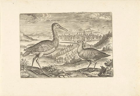 Two birds in a landscape, Adriaen Collaert, 1598 - 1618 Canvas Print