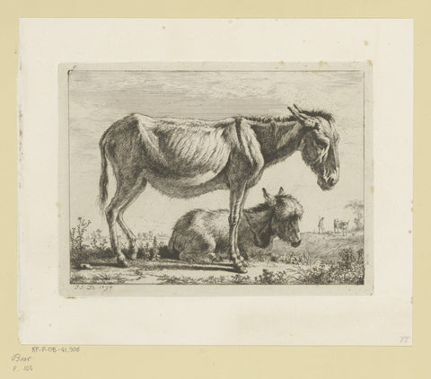 Donkey with young, Jean Jacques de Boissieu, 1791 Canvas Print