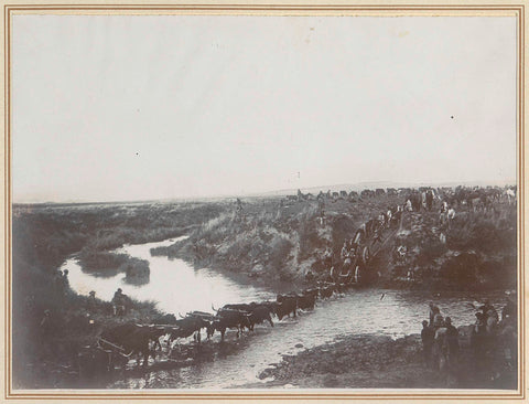 Oxen migrate Creusot cannon across the Klip River in South Africa, anonymous, 1899 - 1900 Canvas Print