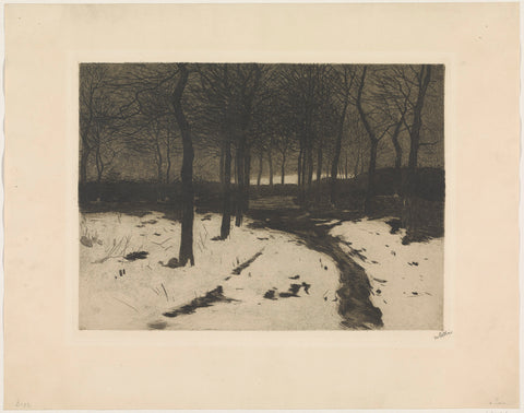 Forest path in Ewijkshoeve, Willem Witsen, c. 1908 Canvas Print