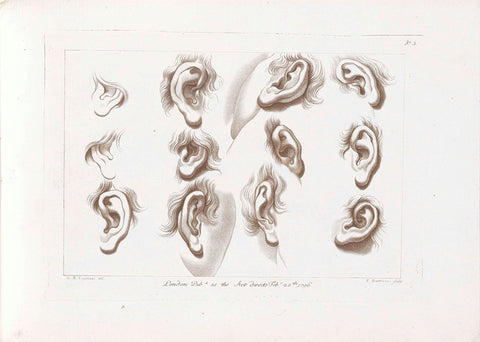 Twelve ears, Francesco Bartolozzi, 1796 Canvas Print