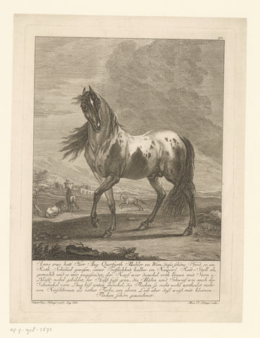 Special horse, Martin Elias Ridinger, 1740 - 1780 Canvas Print