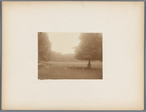 Hertenkamp, anonymous, c. 1907 - c. 1910 Canvas Print