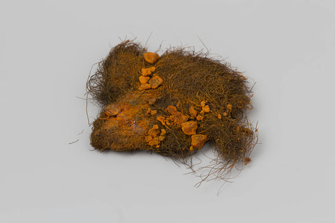 Fragments of cow hair from the wreck of the in 1735 faded East Indiesman 't Vliegend Hart, presumably breeuwsel, c. 1700 - c. 1735 Canvas Print