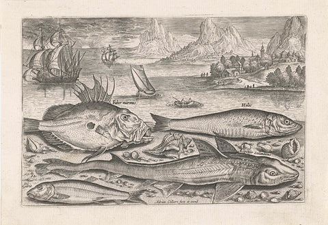 Four fish on the beach, Adriaen Collaert, after 1595 - 1618 Canvas Print