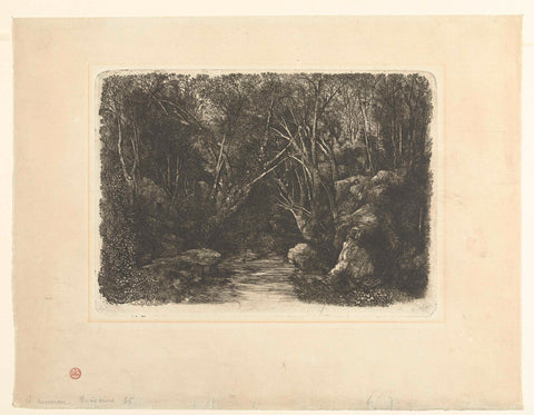 Forest landscape with stream and overhanging trees, Rodolphe Bresdin, 1880 Canvas Print