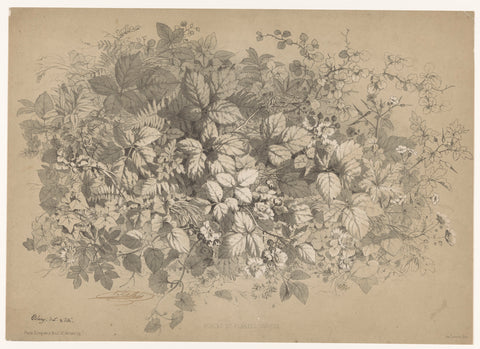 Blackberries and other plants, Eugène Bléry, 1854 Canvas Print