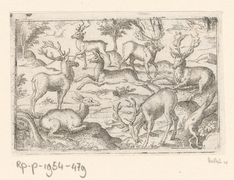 Seven Deer, Stephan Herman, 1578 - 1596 Canvas Print