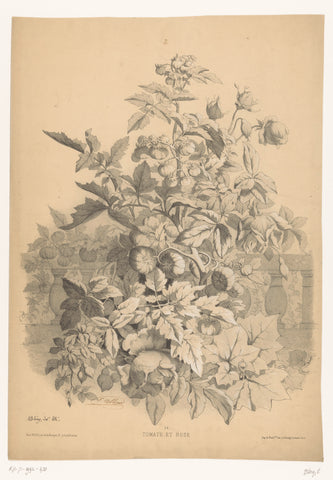 Tomatoes and roses, Eugène Bléry, 1858 Canvas Print